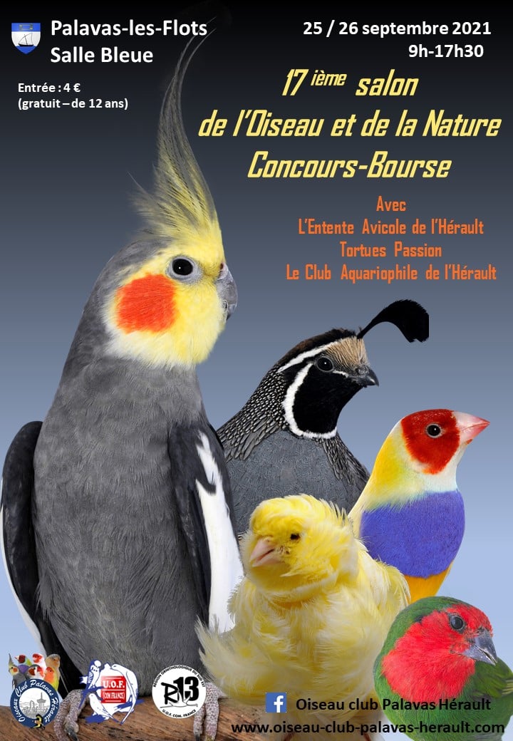 Articles Les Oiseaux du Monde JANVIER 2022 – Concours de Palavas-les-Flots 25 et 26 septembre 2021. Bernard Cicéro